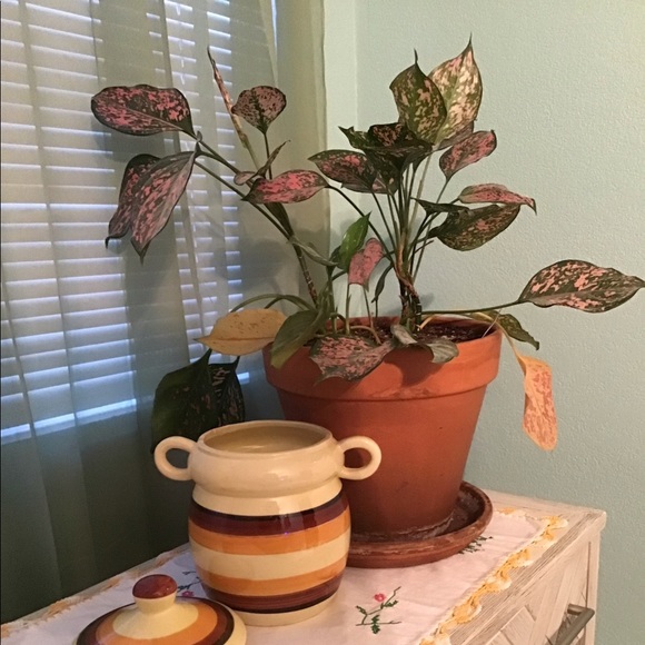 Antique Maurice Ceramics of California - Picture 8 of 12